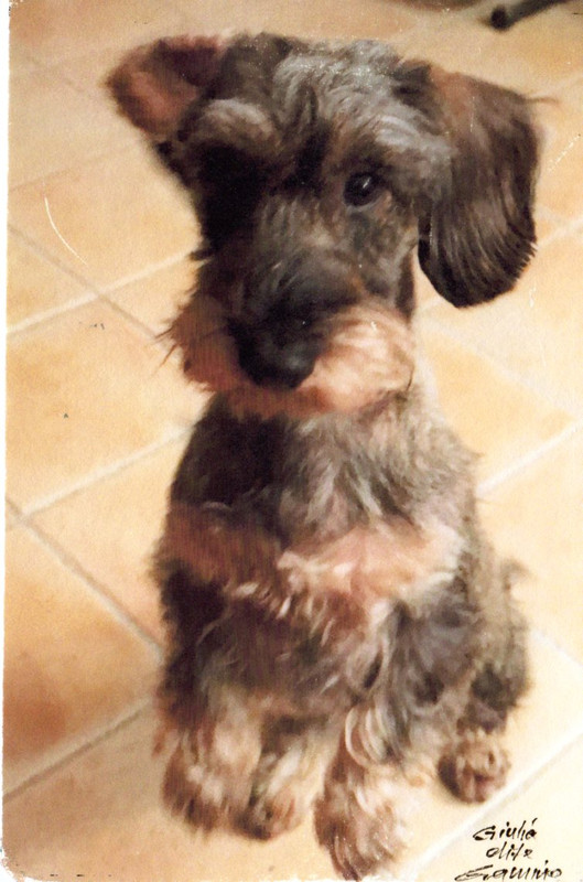 [Image: giulia20190107-14391478.jpg]