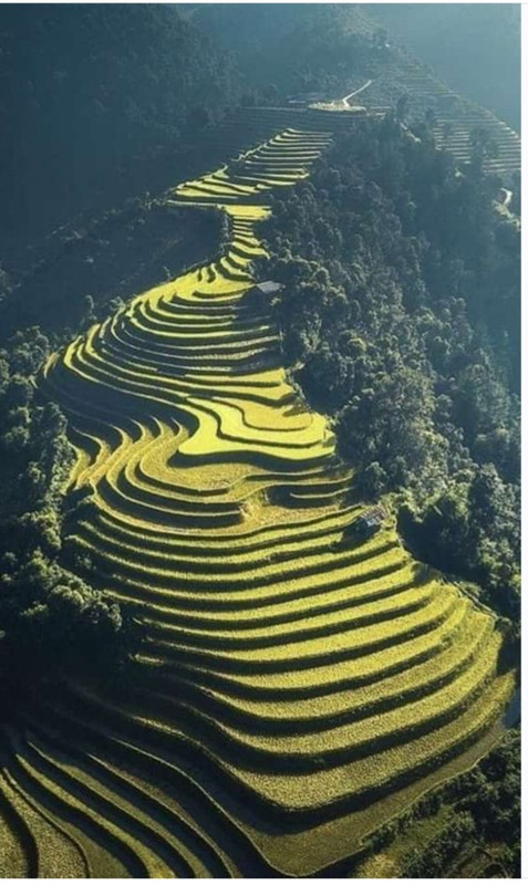 Screenshot-2021-09-29-20-04-41-146-com-a