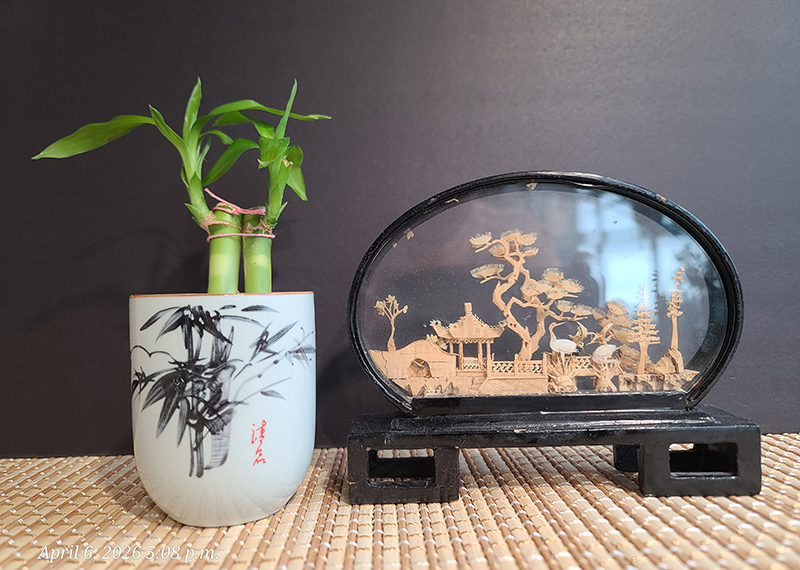 [Image: 20260406-170830.jpg]