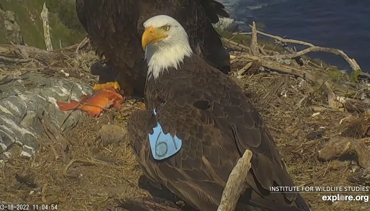 19DAE6B5-4DE6-405A-9319-CF758D729D3B