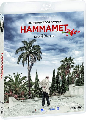 Hammamet (2020) .mkv iTALiAN WEBDL 1080p x264