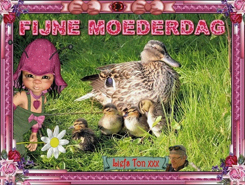www.krabbelplaatjes.com