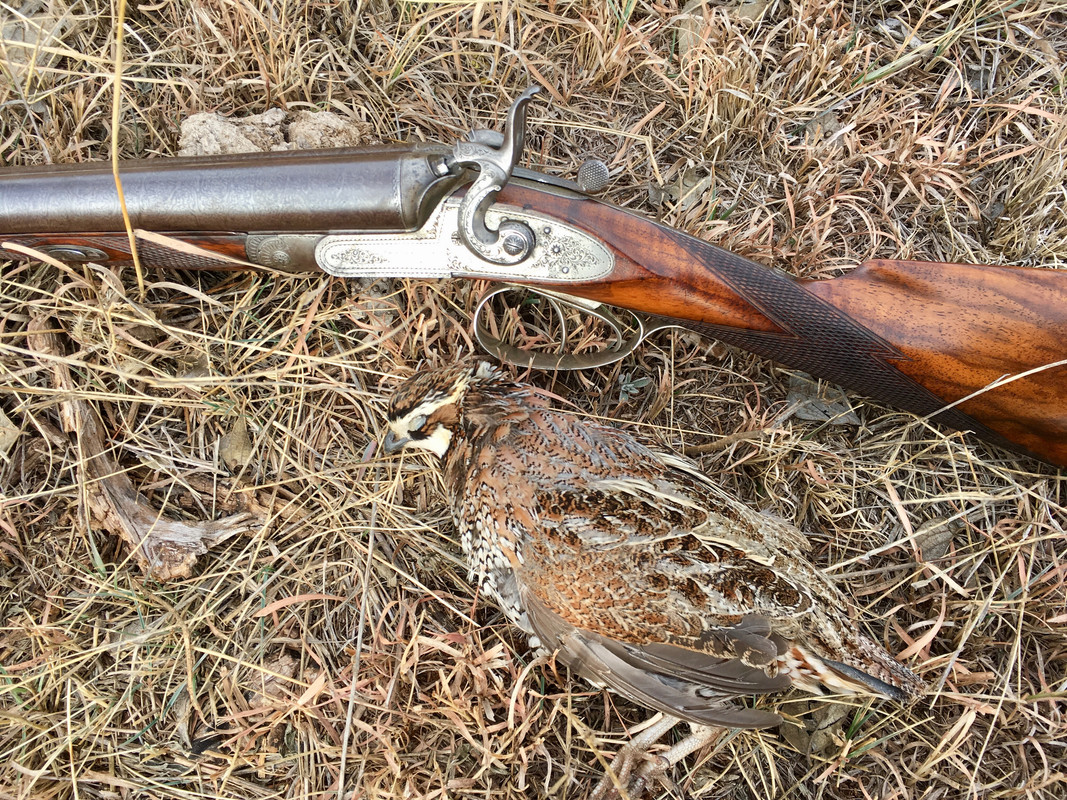 C2F9DEC1-0AA8-44C0-877D-654889199A2C