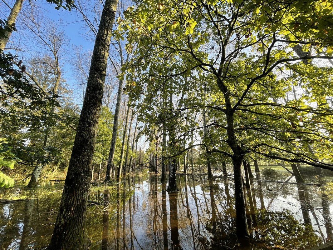 67E17399-78D7-4BAD-B401-5921FC35A26D