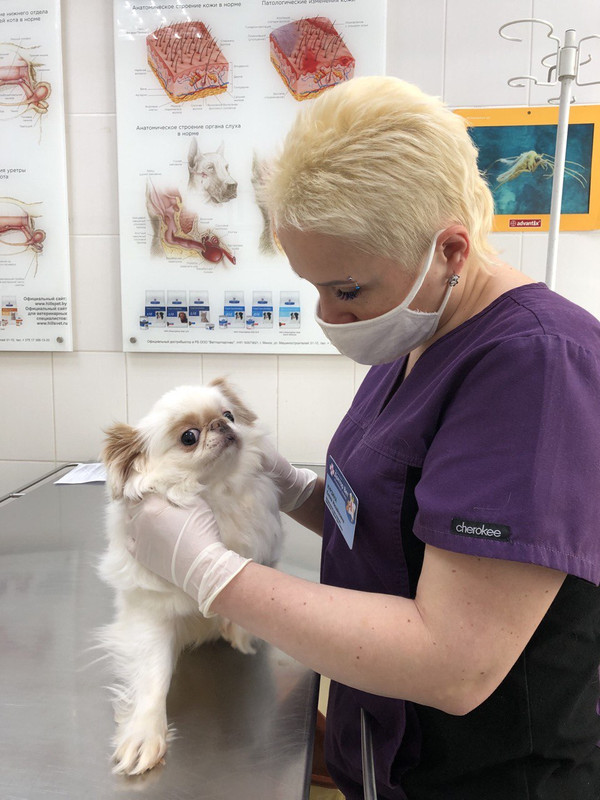 48D91B02-E0CA-48FF-89E3-57C4789B1423