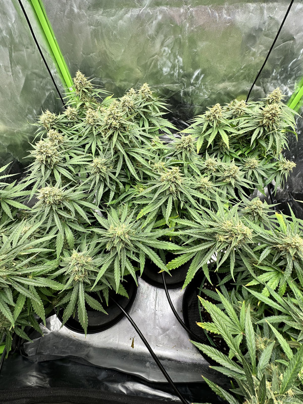 122076AF-543A-40DA-95E0-630F562A0681