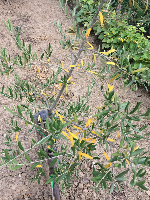 88DDE548-1EB8-4E4A-ADFA-B9D81D98A548