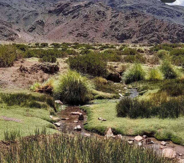 RUTA DE LOS SEIS MILES. BALCON DEL PISSIS Y LAGUNAS NEGRA Y ESMERALDA - ARGENTINA INFINITA II/ TORRES DEL PAINE (4)
