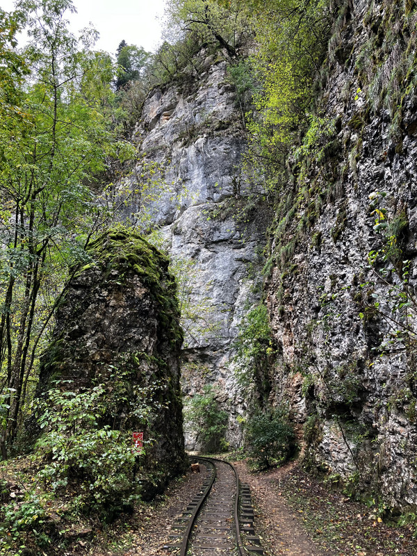 IMG-2023.jpg