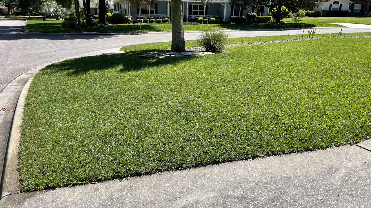 F4AD481A-80C3-49B2-802F-F1D9F876960E