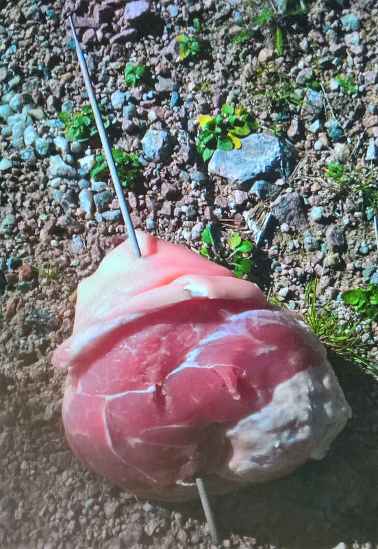 IMG-20180923-WA0006 (2)