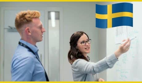 Learn Swedish Language • Business Professionals and Job Seekers (2021-01)