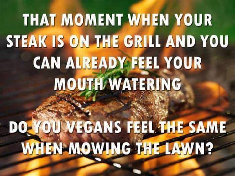 my-mouth-is-watering-is-that-how-vegans-get-when-mowing.jpg