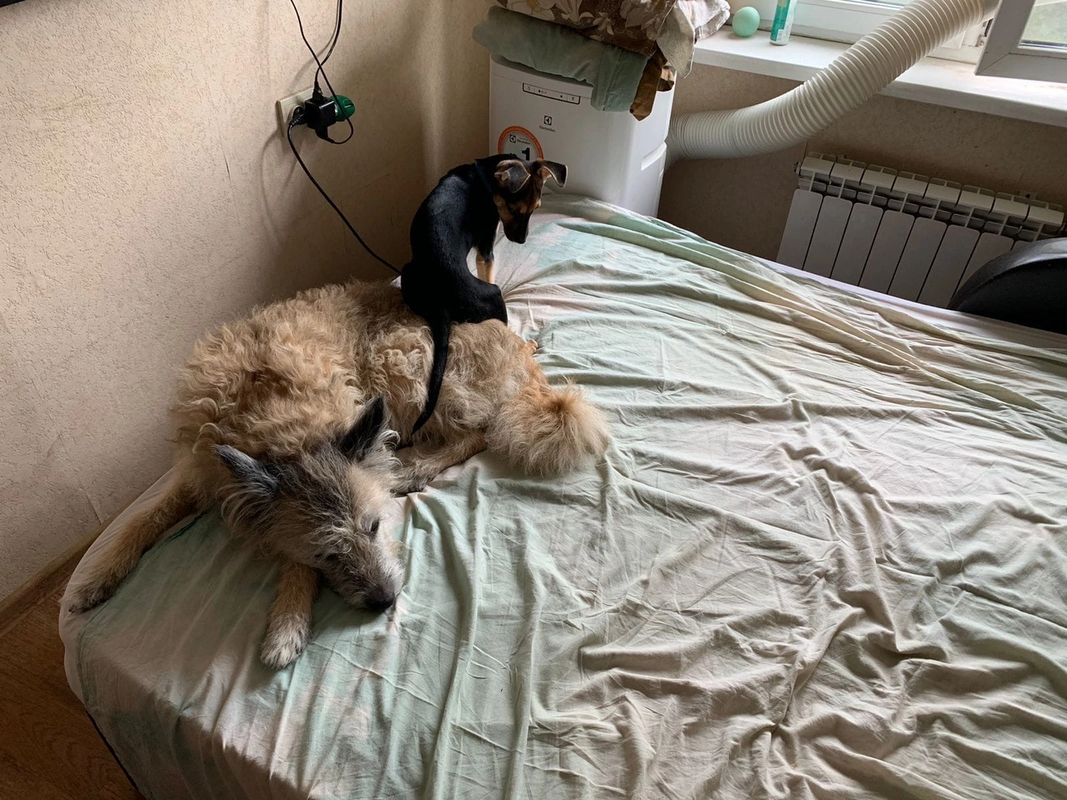 22689758-D8FC-4E3D-BAE3-901B90E38FDD