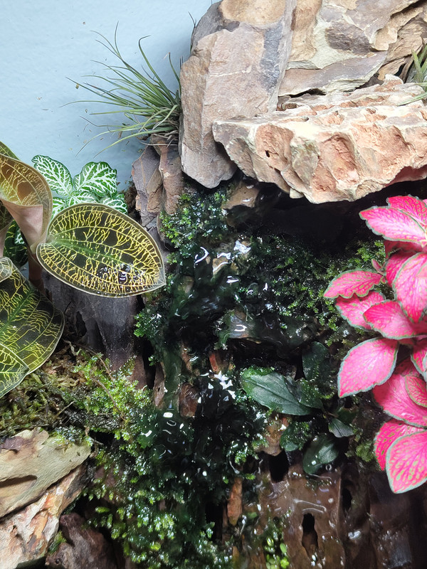 IMG_20241219_150246359