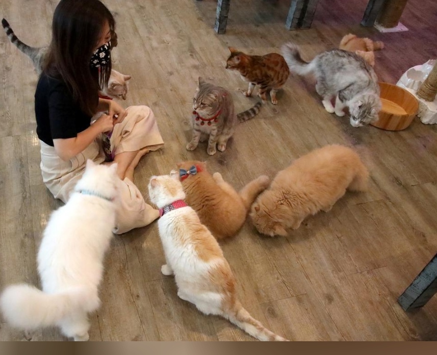 Pengunjung Caturday Cafe, Bangkok pada Kamis (7/5/2020).