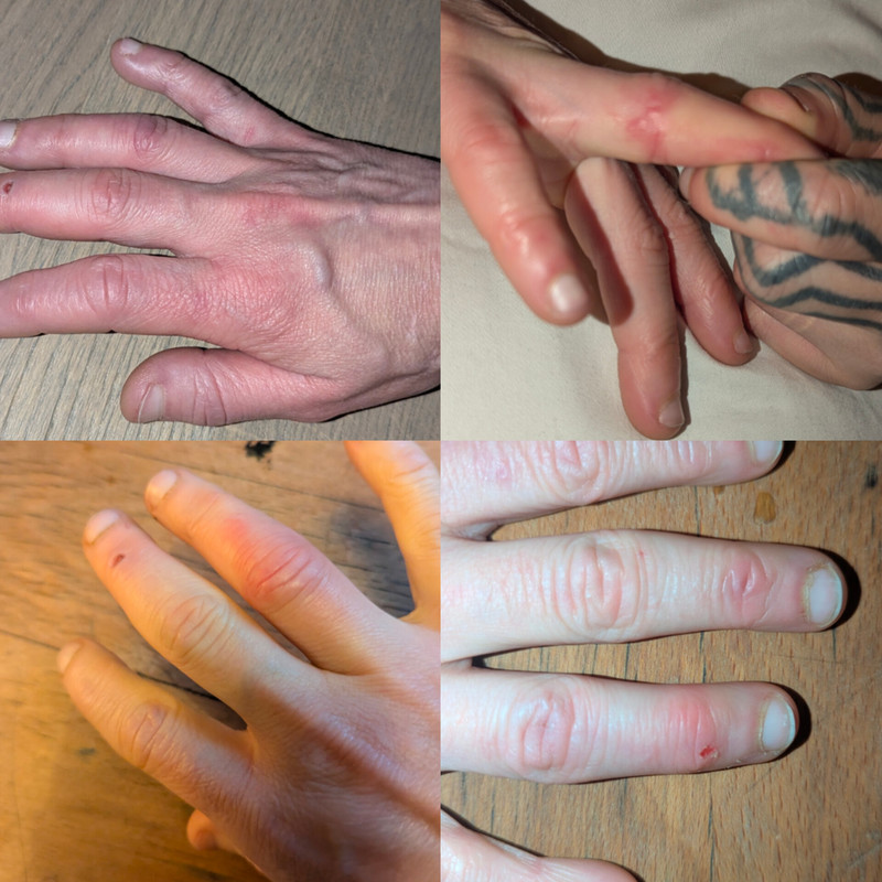 In Shot 20260201 190654160