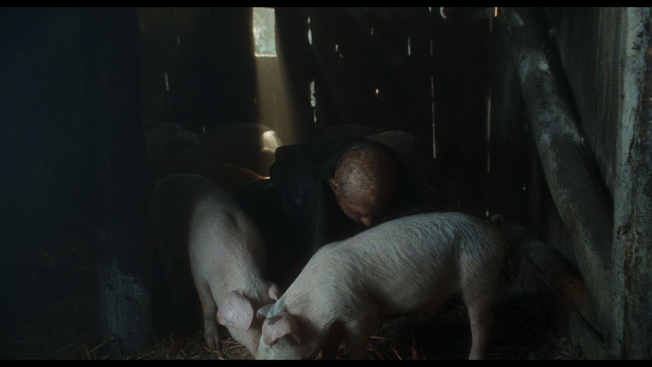 Mary.Shelleys.Frankenstein.1994.UHD.2160p.DTS-HD.MA.5.1.DoVi.P8.by.DVT.mkv_20220327_140132.782