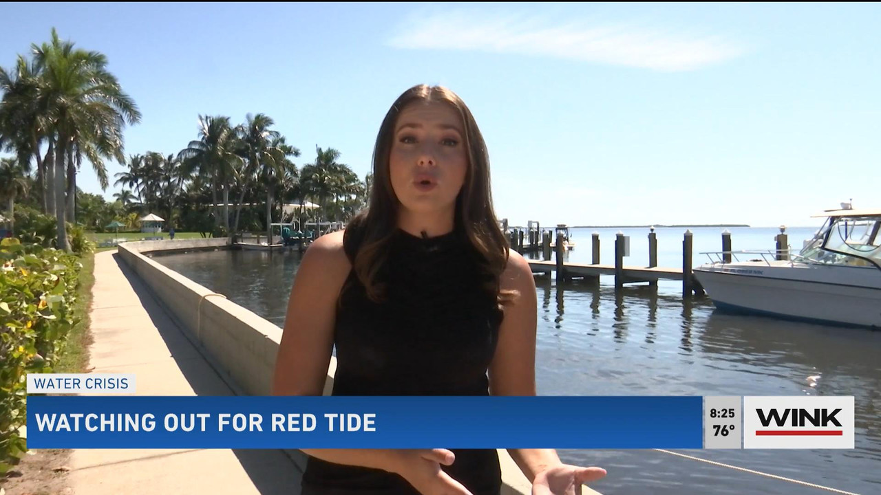 10.24 - 11.00.00 - WINK News @ 6 00AM Sunday. Local news, sports and ..._001.ts_snapshot_01.13.41_[2