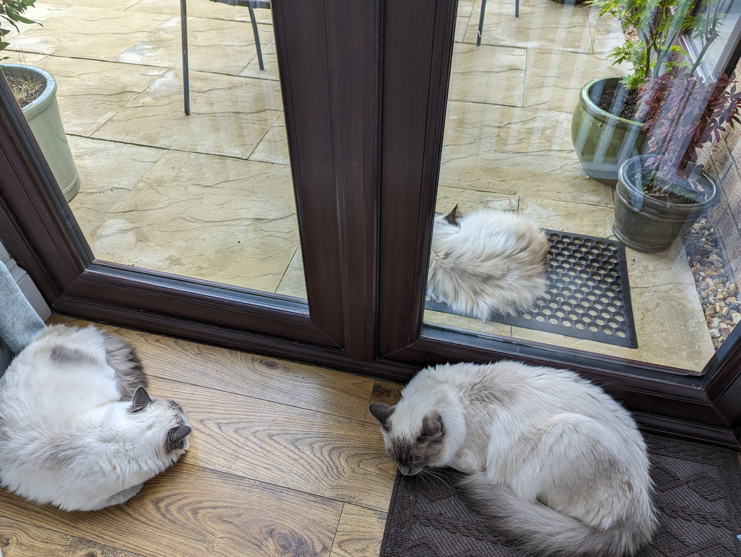 PXL_20240511_160249219