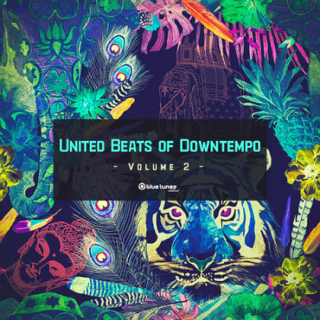 VA - United Beats Of Downtempo Vol. 2 (2021)