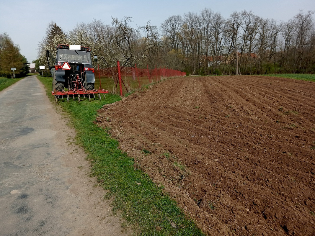 IMG_20240330_105613_MP