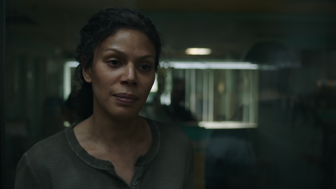 The.Last.of.Us.S01E09.Look.for.the.Light.1080p.10bit.BluRay.AAC7.1.HEVC-Vyndros.mkv_snapshot_26.17_[