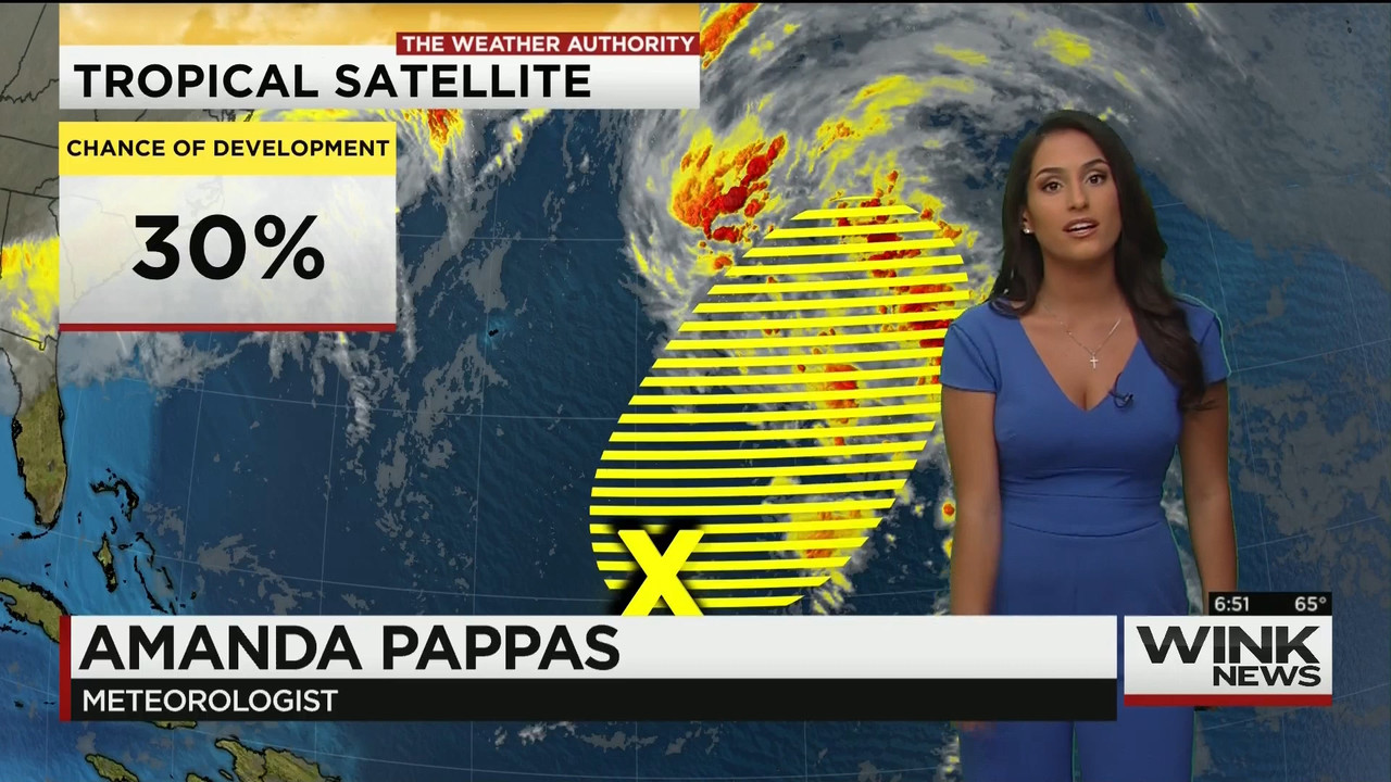 11.28 - 11.00.00 - WINK News This Morning..ts_snapshot_52.11.486