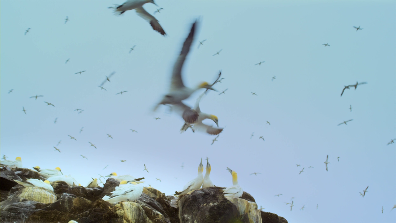 vlcsnap-2023-01-08-14h49m33s022