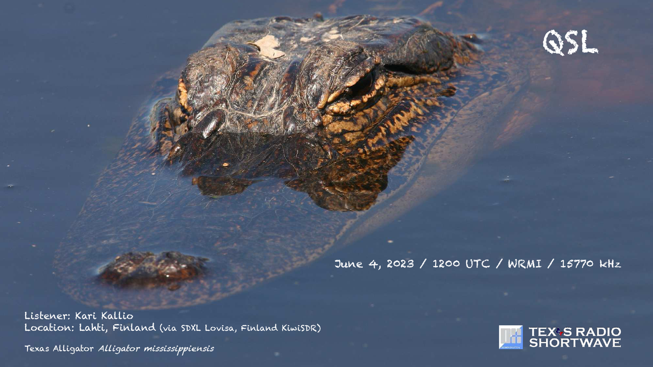 TRSW - Texas Alligator (15770 kHz) QSL_WRMI - Kallio-1