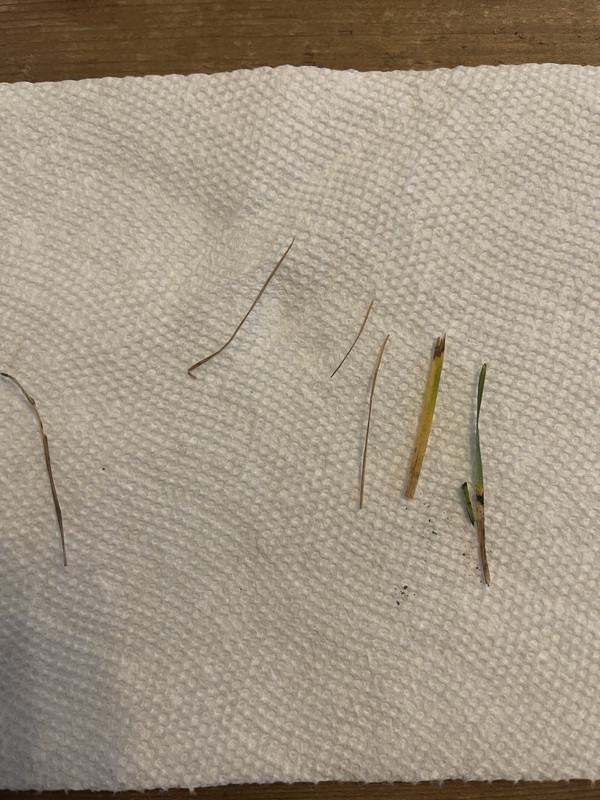 D7DAD9B7-A118-4563-B2CD-9607FDA1E1D8