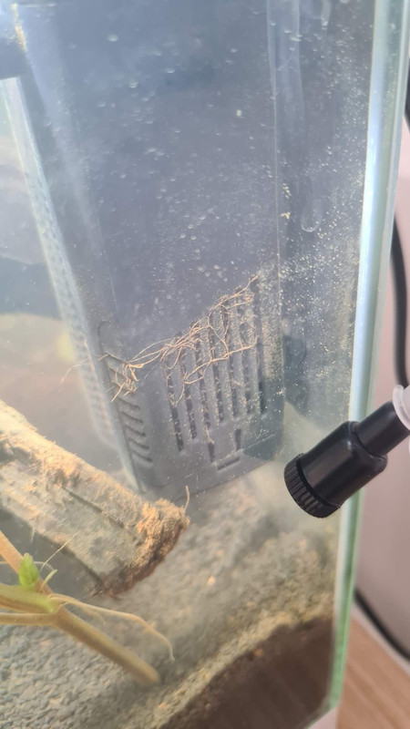 FB_IMG_1661286787359