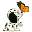 IMG-7504.gif