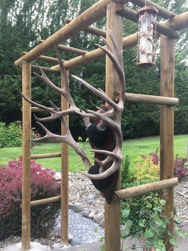 F3D62775-ADF9-4279-BA64-2217D850FDDD