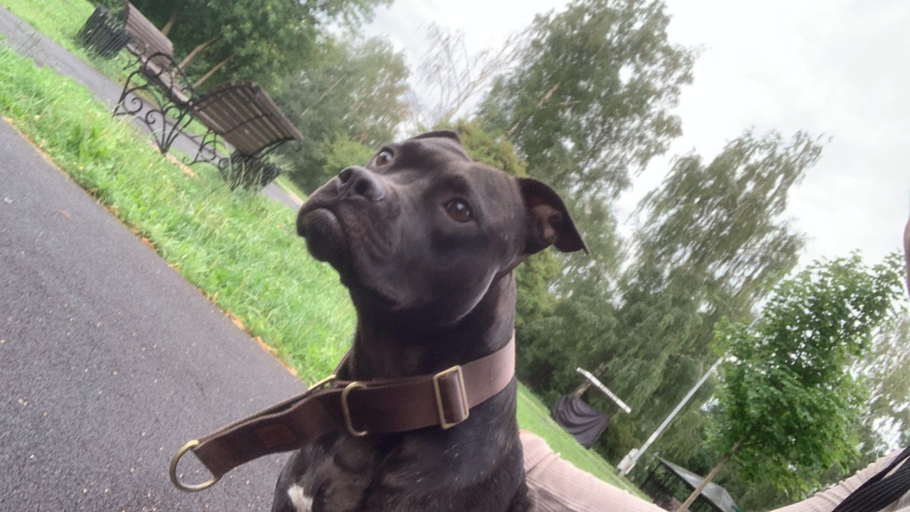 A5C3BB7E-00D3-4E43-8BF5-BD42CFF6AD9F