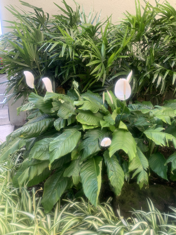 B1CDA344-3AB3-40C9-8F1C-15557CC3E466