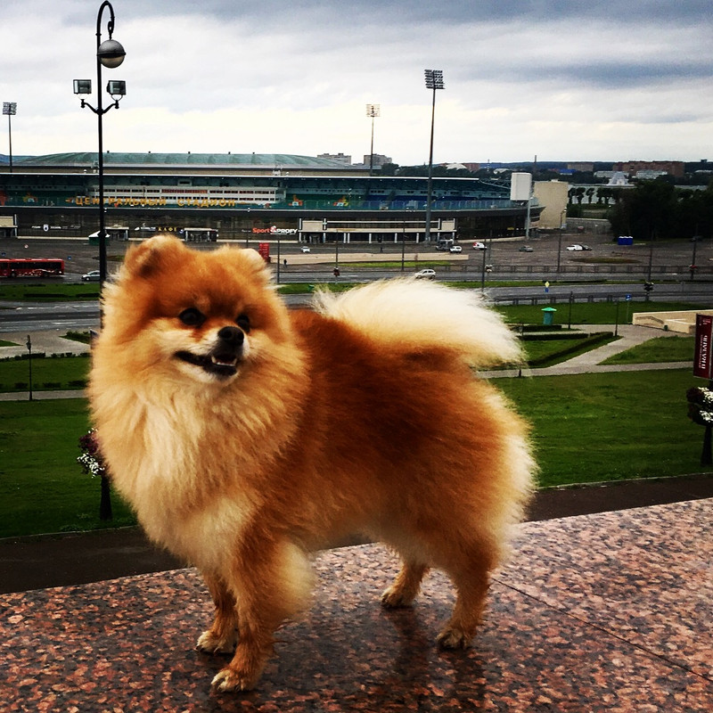 09A09E2A-66A1-4664-9DDA-4DE71868D6A8