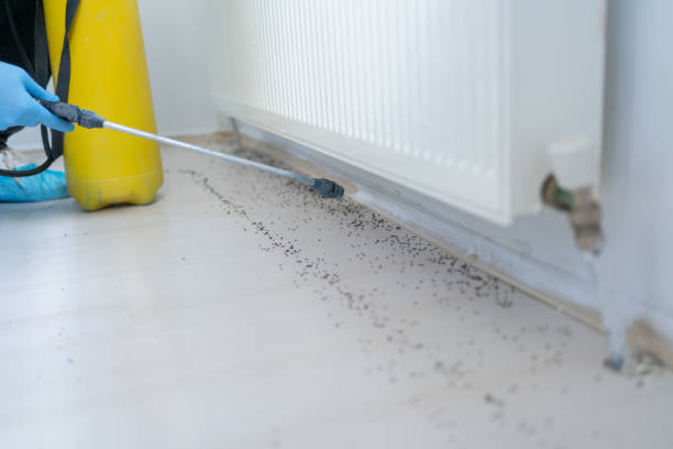 Pest Control Orlando