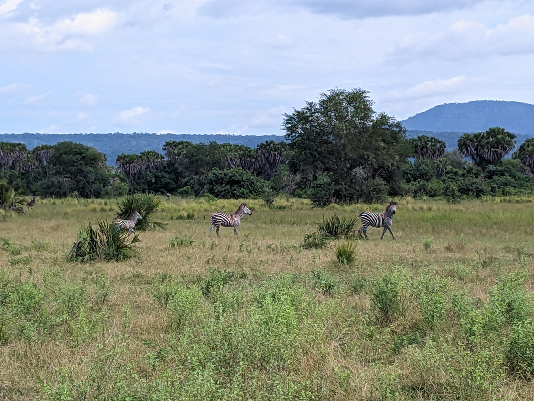 SGCAM_20250616_094312719