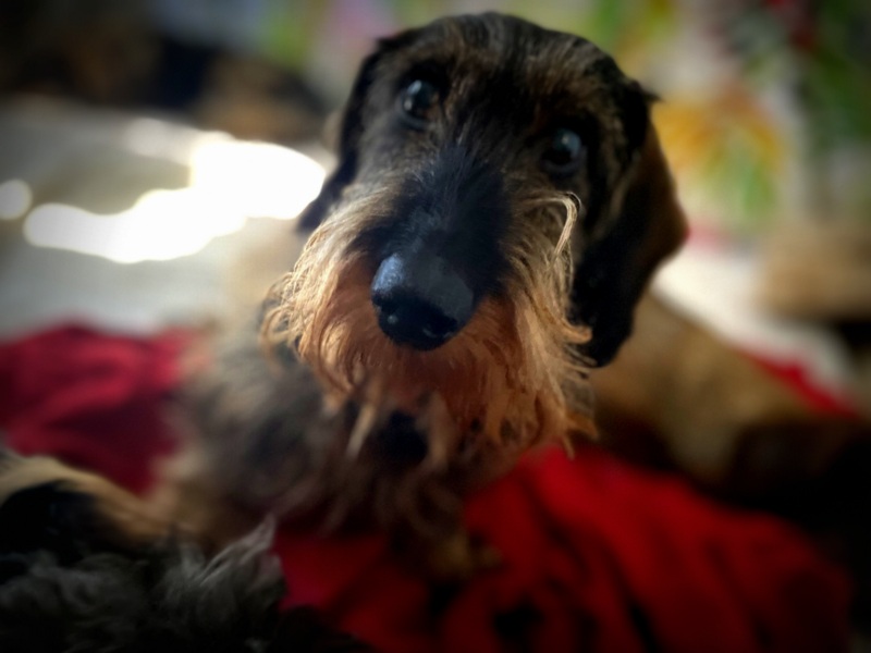 [Image: IMG-1406.jpg]