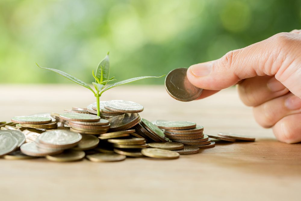 Invest in Mutual Funds