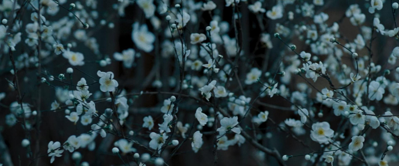 Fearless 2006 DC (1080p x265 10bit Tigole).mkv_s