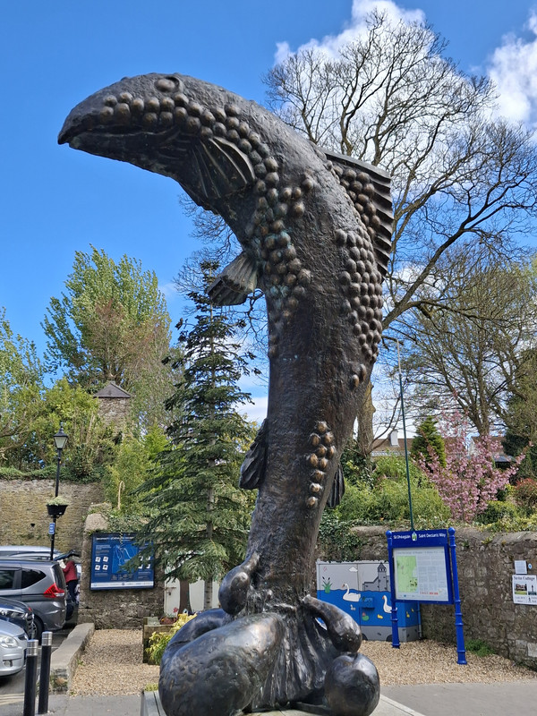 20250413-134244.jpg