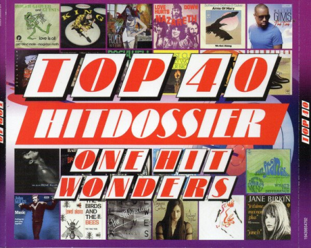 VA - Top 40 Hitdossier - One Hit Wonders (2021)