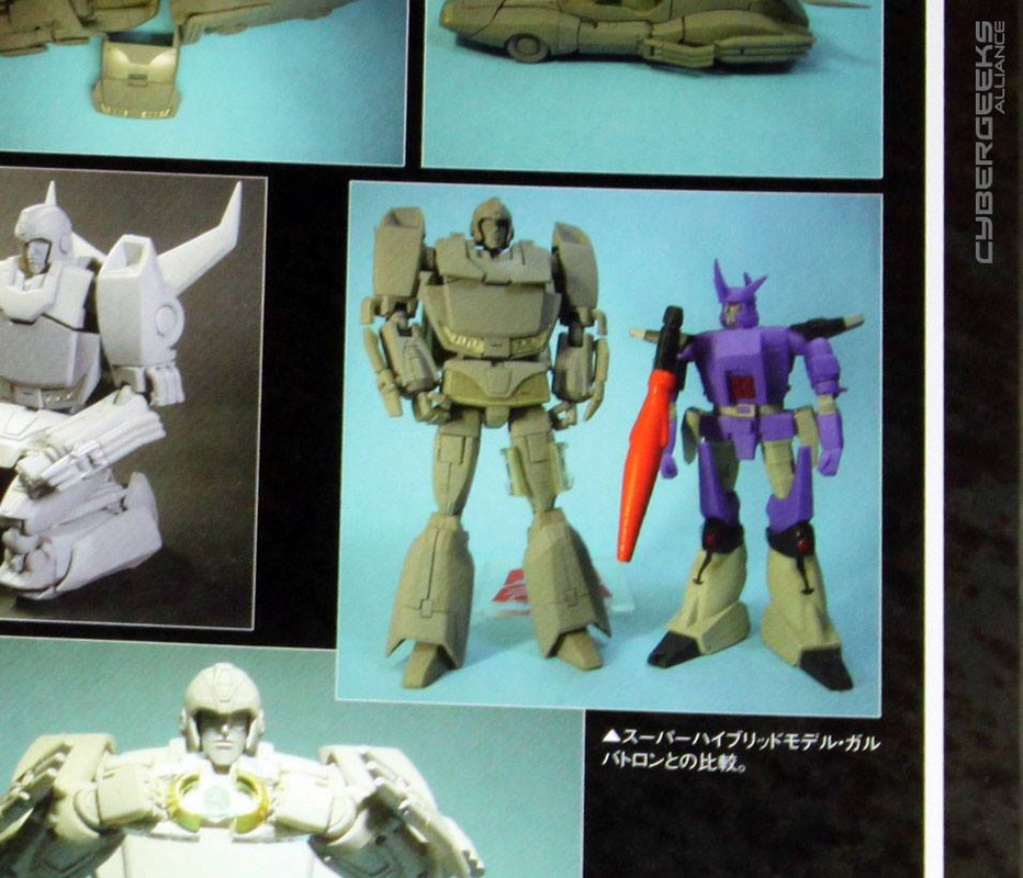 10343521_863363483675545_1252503621378206526_n