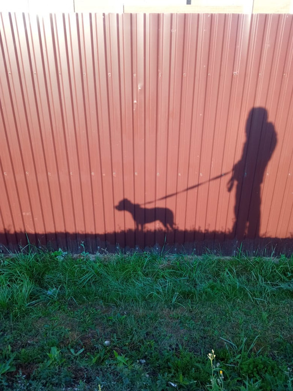 AEC3BB66-3F96-49CF-B2B7-CE6C81B1D9FD