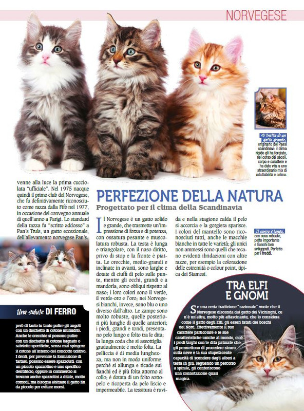 Ga Ma Dic 2017 - Gen 2018 (4)