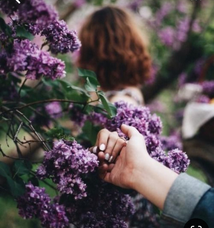 Screenshot_20240603_212227_Pinterest