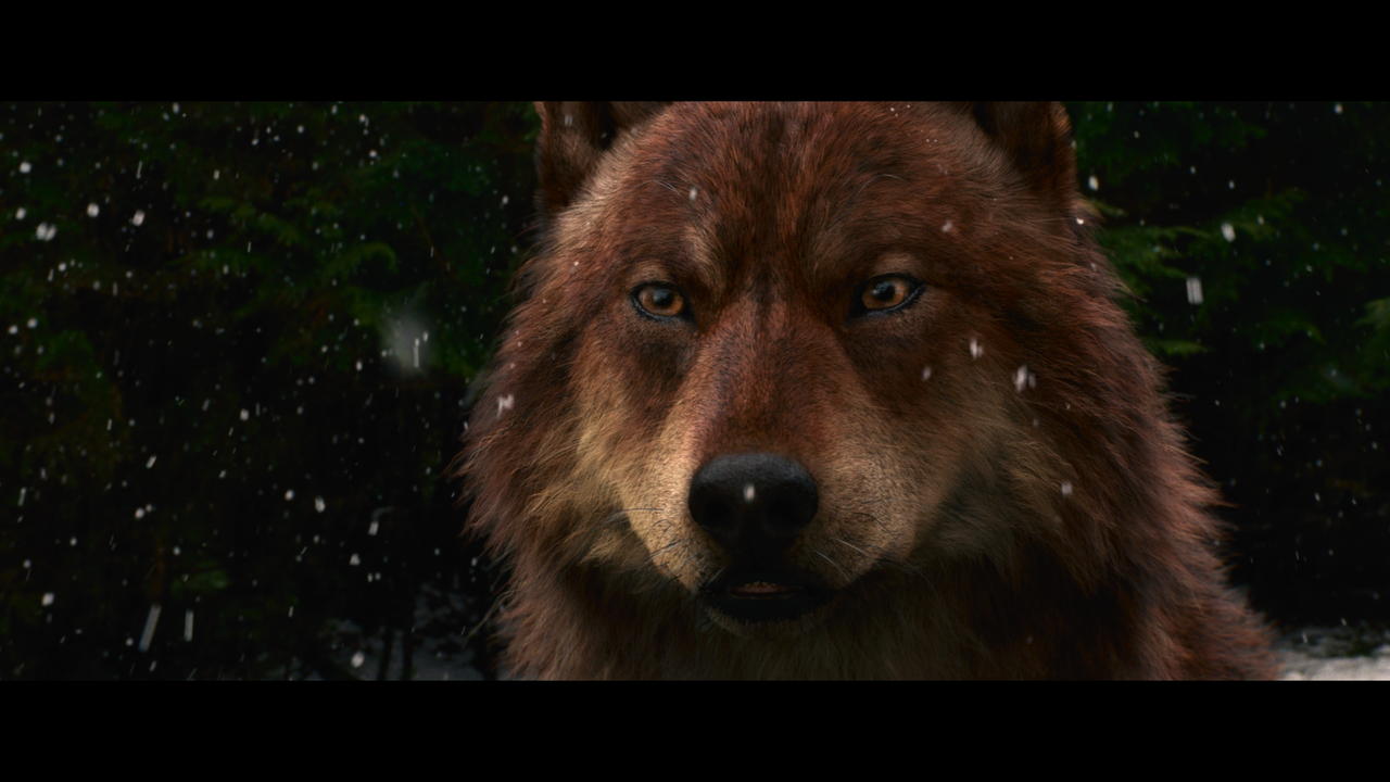 mpv-shot_The.Twilight.Saga.Breaking.Dawn.Part.2.2012.2160p.UHD.BDREMUX.HDR.DV.HEVC-Нечипорук_00_30_5