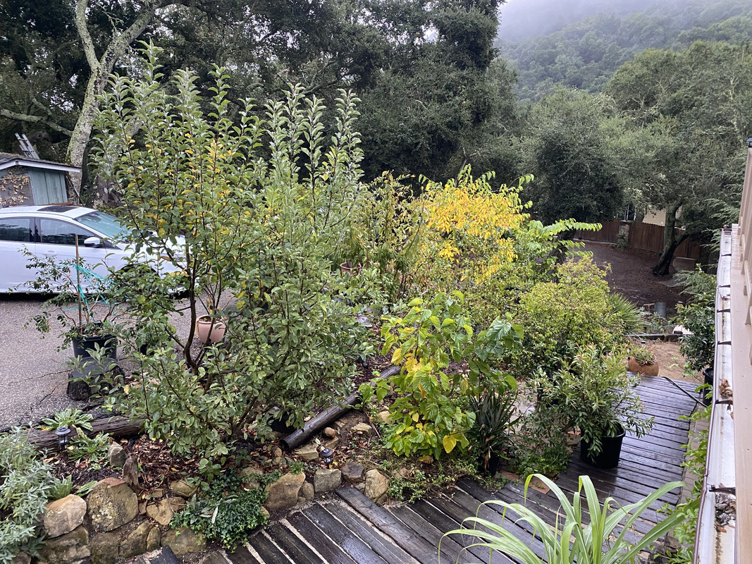 2880415F-F97C-4DB7-A2CE-CF0B0B385C68